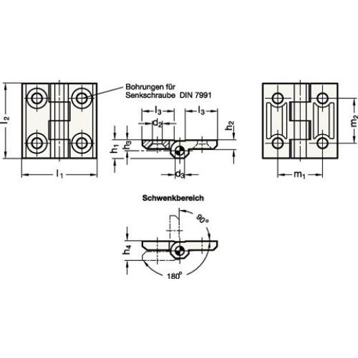 Scharnier GN 237 H.50mm B.50mm S.6mm Zink-Druckguss besch.GANTER | 10 Stück