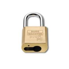 Zylindervorhangschloss 116 PC50 HB80 Niro Schlosskörper-B.51,3mm MS BURG-WÄCHTER