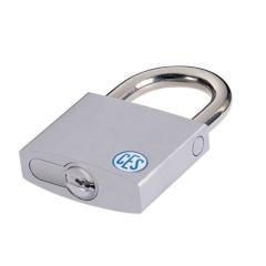 CES DU Vorhangschloss