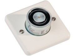 Elektromagnet 500 G 24 Volt AC/DC f.Schließfolgeregeler weiß